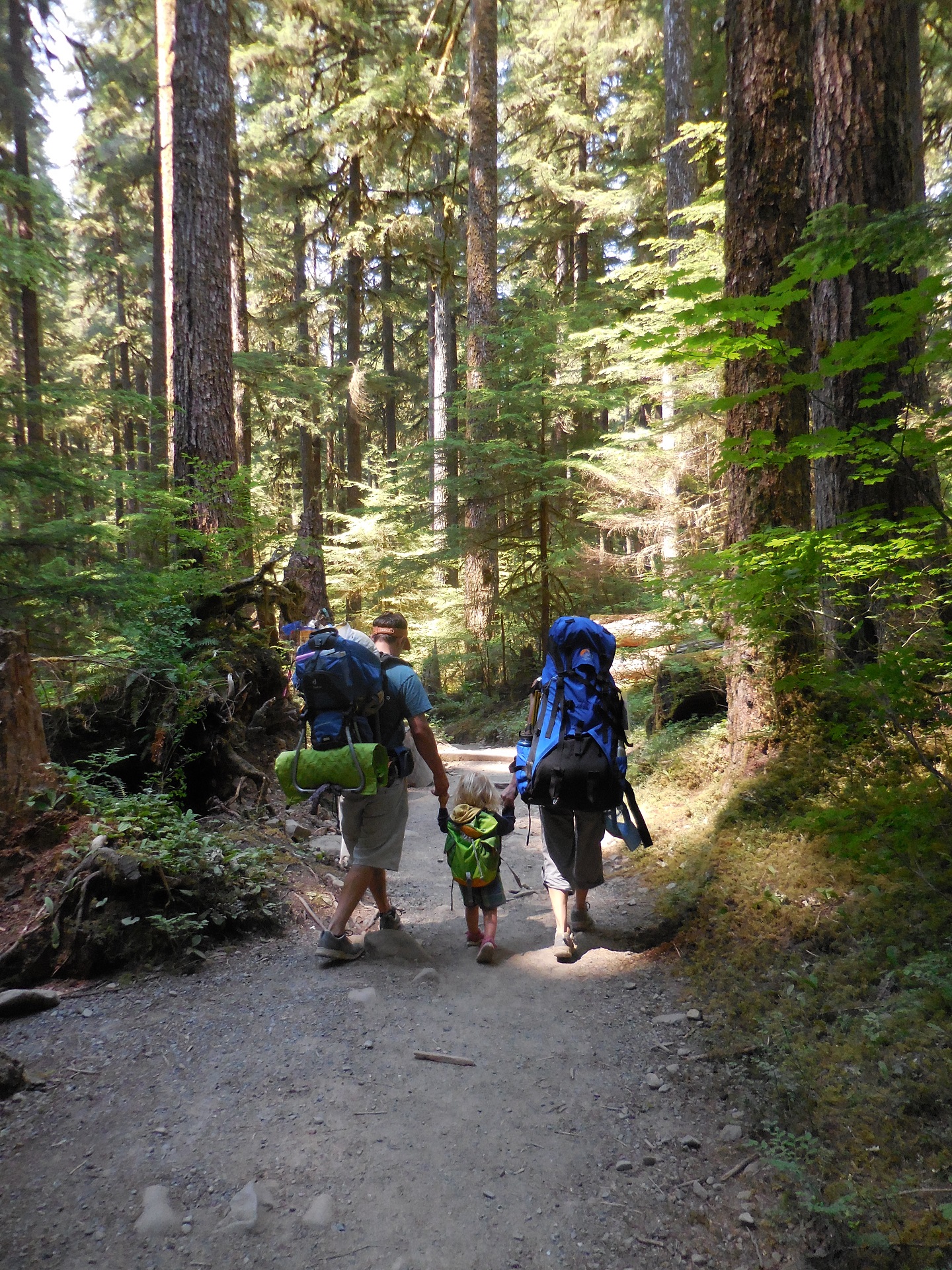 Hiking with Kids: Trails and Tips for a Family Adventure